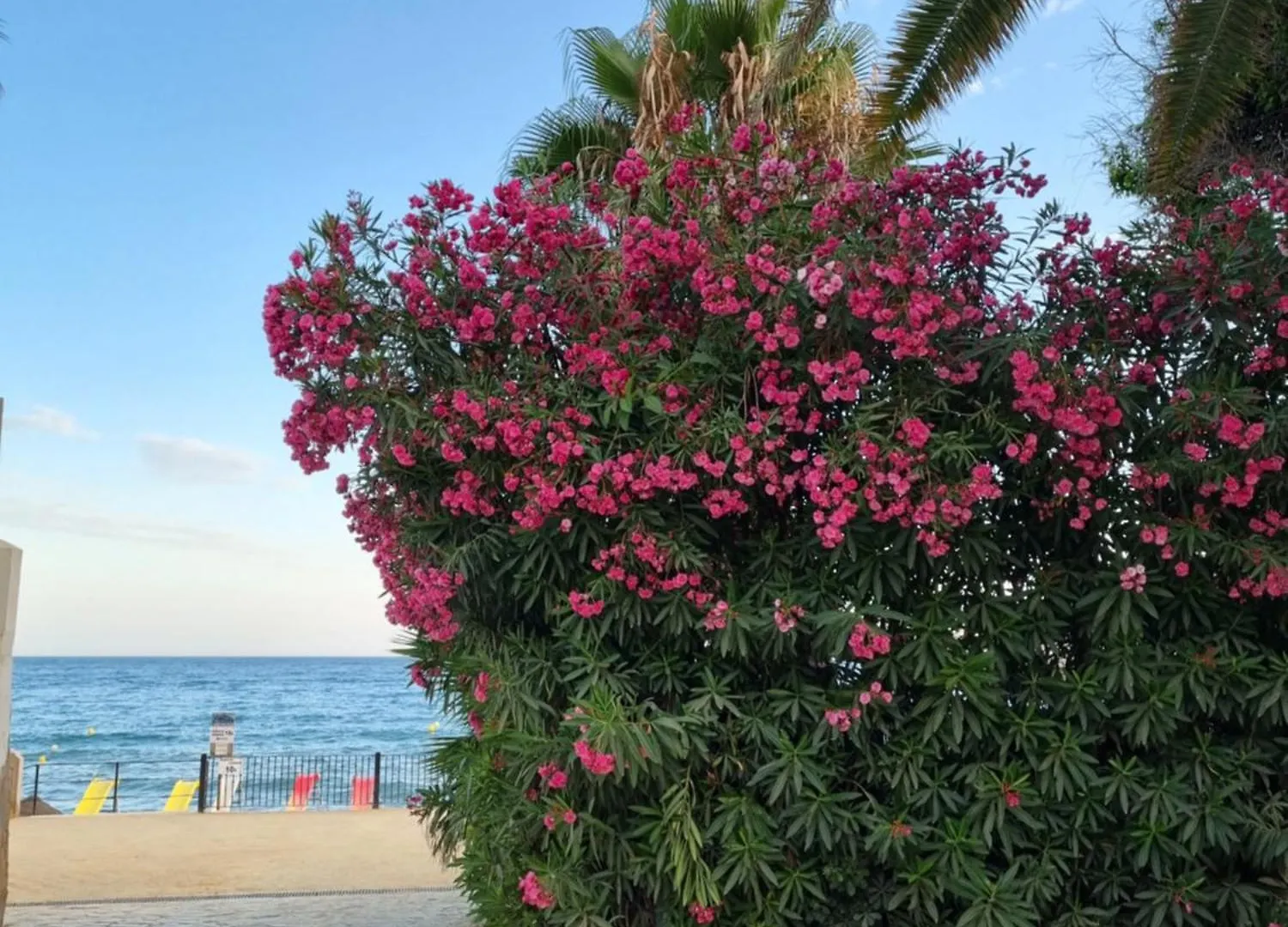 公寓 Toplage Marbella Neubau Luxus-Apartment, Strand Und Altstadt In Minuten Zu Fuss